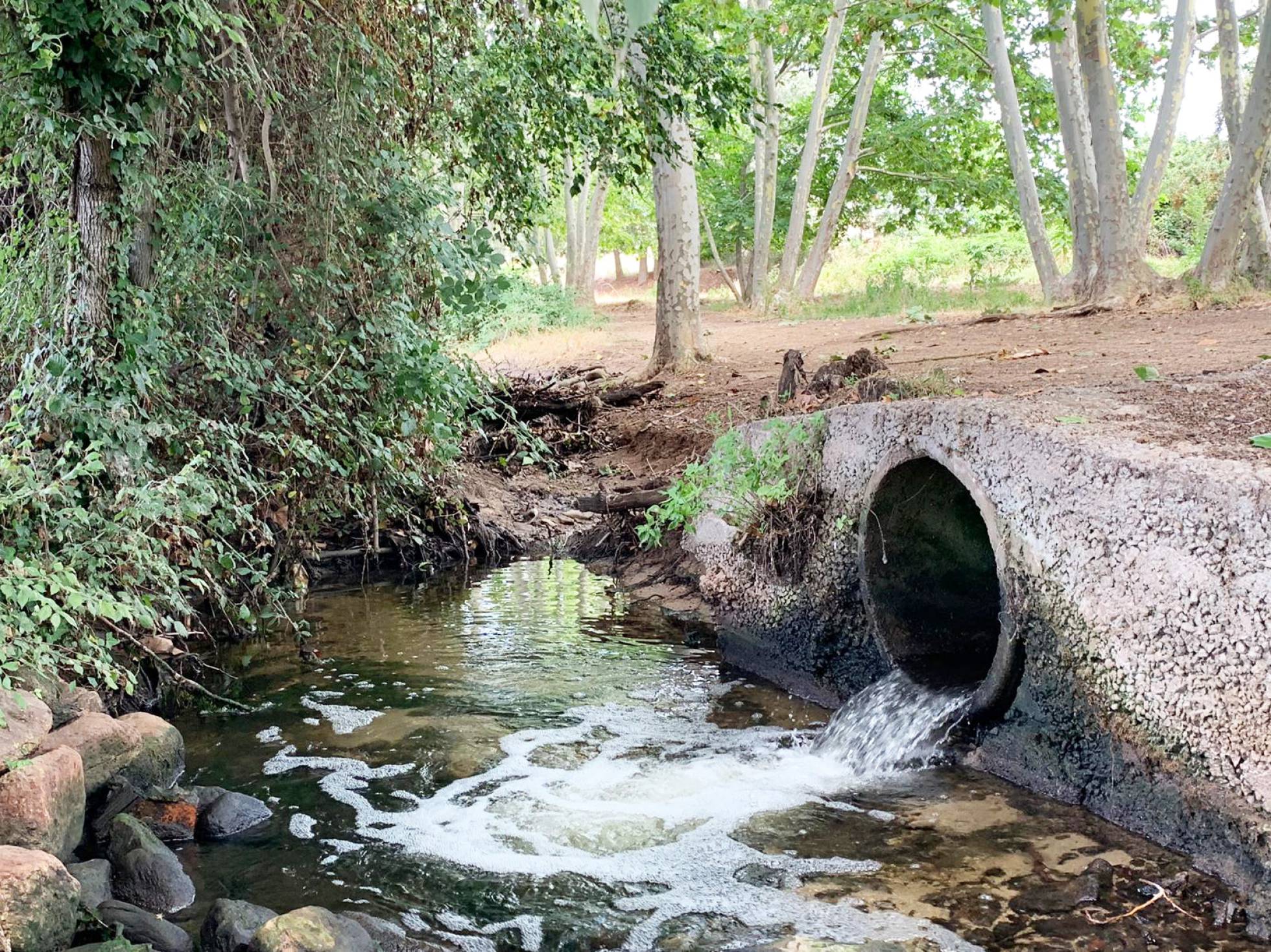 Imagenes de rios de agua viva